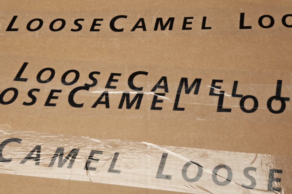 LOOSE CAMEL Sunglasses LOOSE CAMEL Sunglasses Ashley Kinnard Studio is an art and graphic design practice based in London. Our work includes publications, visual identity, type design and websites.