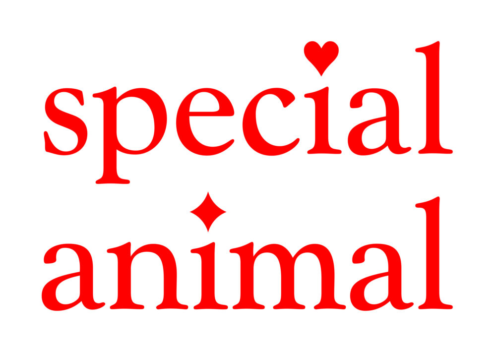 special animal Siân Newlove-Drew & Billy Crosby Ashley Kinnard Studio is an art and graphic design practice based in London. Our work includes publications, visual identity, type design and websites.
