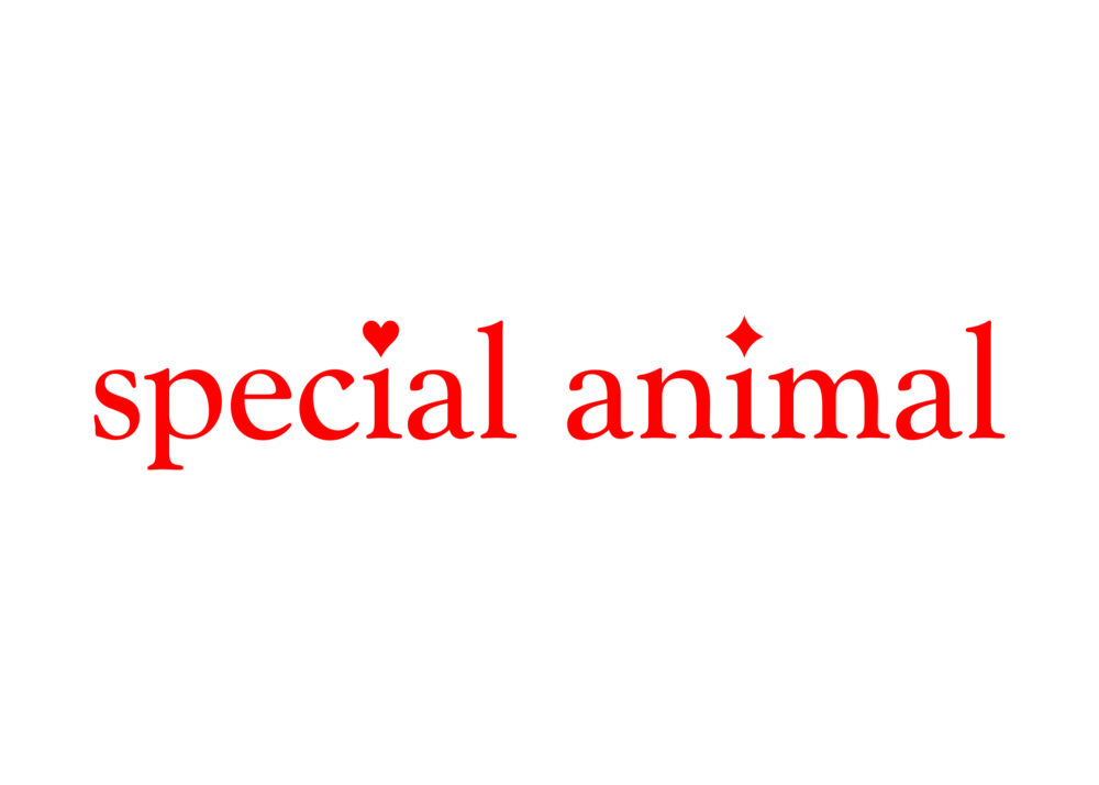 special animal Siân Newlove-Drew & Billy Crosby Ashley Kinnard Studio is an art and graphic design practice based in London. Our work includes publications, visual identity, type design and websites.