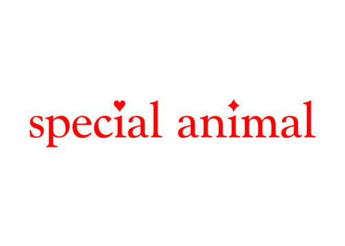 special animal Siân Newlove-Drew & Billy Crosby Ashley Kinnard Studio is an art and graphic design practice based in London. Our work includes publications, visual identity, type design and websites.