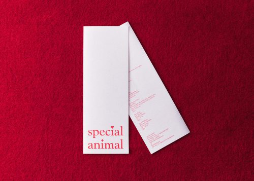 special animal Siân Newlove-Drew & Billy Crosby Ashley Kinnard Studio is an art and graphic design practice based in London. Our work includes publications, visual identity, type design and websites.